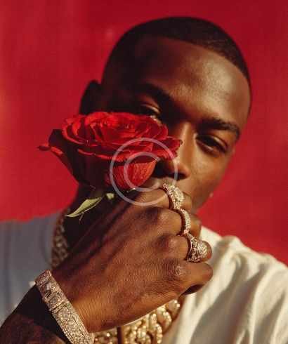 Rose glow statement rings