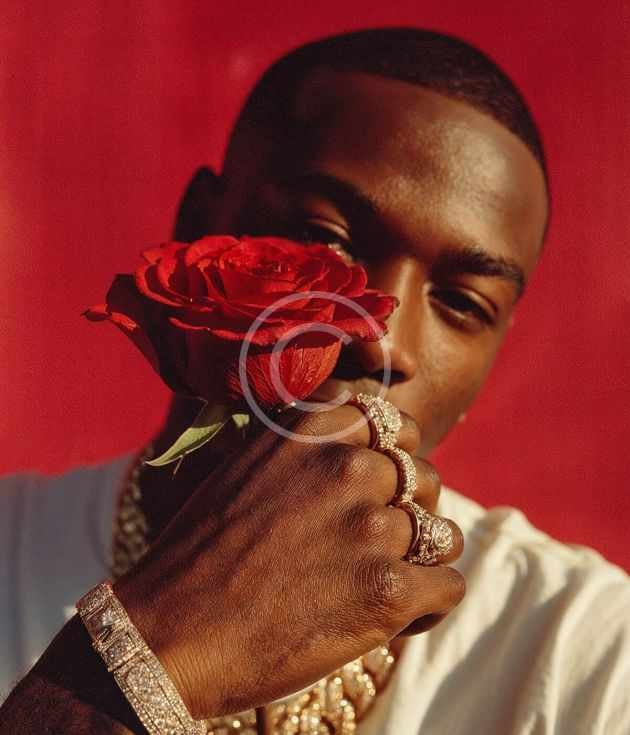Rose glow statement rings